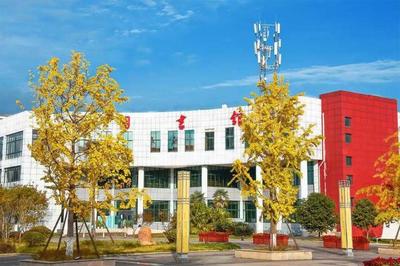 「綿陽單招院?！顾拇ㄓ變簬煼陡叩葘？茖W校