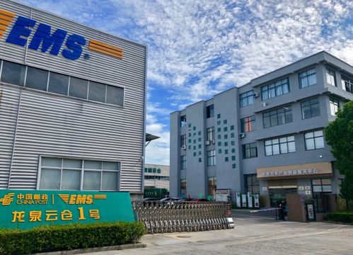 浙江龍泉 竹木產(chǎn)品跨界跨境 產(chǎn)業(yè)發(fā)展提質(zhì)升級