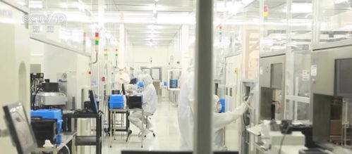 我國數(shù)字貿(mào)易跨越式發(fā)展 增長潛力和空間巨大