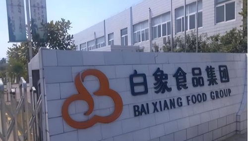 老牌歸來與新秀退潮 康師傅復(fù)出與白象失速背后的市場(chǎng)啟示